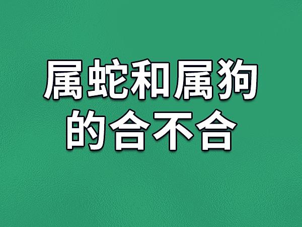 属蛇的和狗配吗 男狗与什么生肖最配对