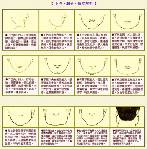 下巴面相图解 下巴面相图解有福气