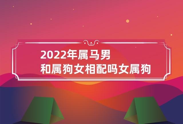 2023年属马男和属狗女相配吗 女属狗男属马配不配