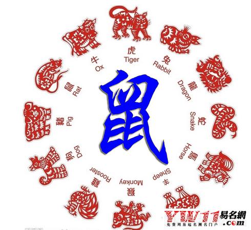 属鼠的今年多大年龄 2023属鼠的年龄表