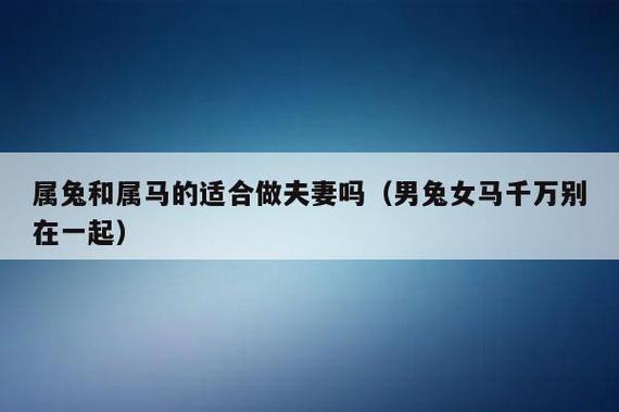 男马女兔婚配成功率 男马女兔适合做夫妻吗