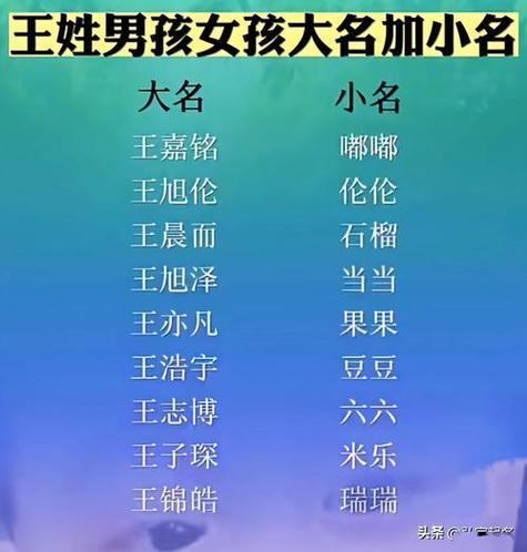 鸡宝宝起名大全姓王 姓王属鸡宝宝名字-神算网