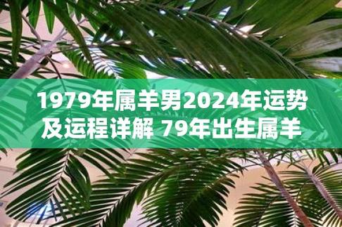 属羊2023年运势男(1991年属羊女2024年全年运势及每月)