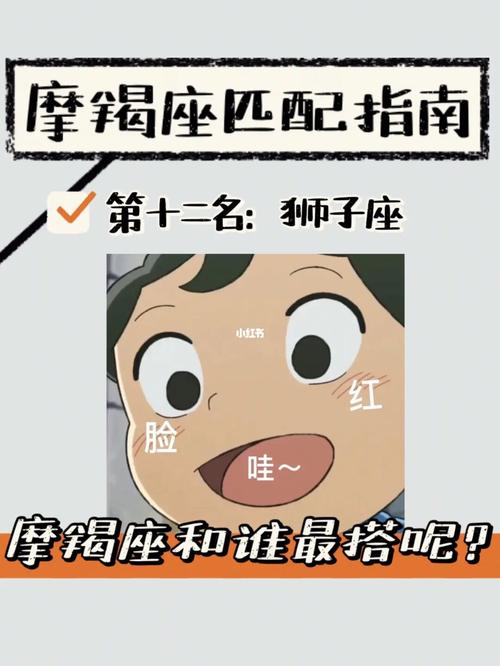 摩羯座vs狮子座