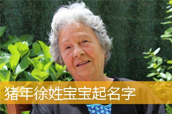 徐姓女孩起名两个字的(徐姓女孩名字)