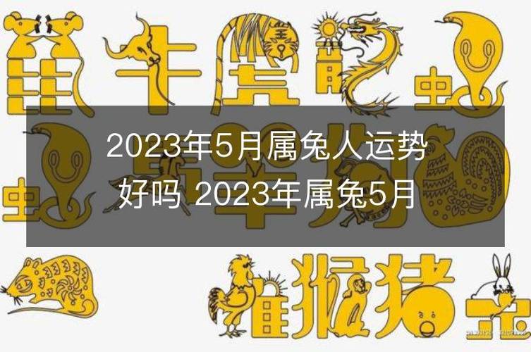 2023属兔7月运势(75年兔九月份运势)