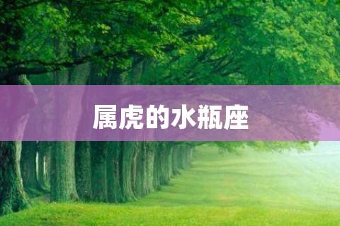 属虎水瓶座女生性格 属虎的水瓶座女生性格特点