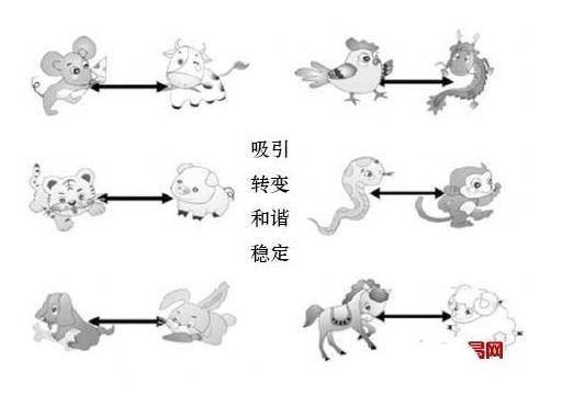 孩子的生肖和父母的生肖相冲,是不是一定合不来?