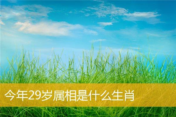 今年29岁属什么生肖 今年27岁属什么生肖