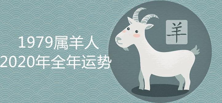 1967年属羊人在2024年不同月份好吗，67年出生的57岁生肖羊2(属羊2023年八月运势)