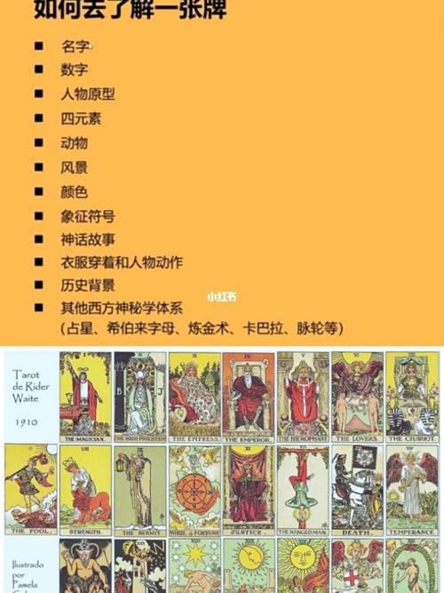 【新手9215必看】如何认识一张塔罗牌?