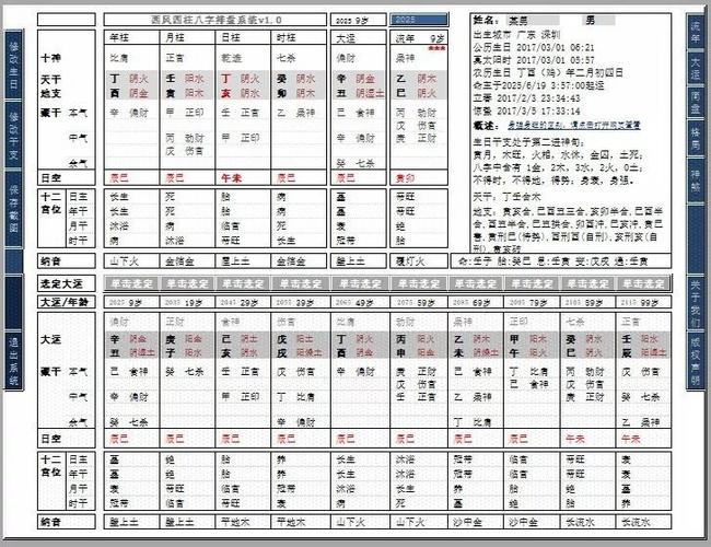 九龙八字排盘系统(九龙道长365个八字案例笔记2)金鑫命