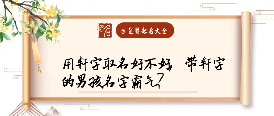 轩字男孩名字用轩字起名属兔正月2023年