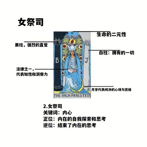 塔罗牌女粉裂变项目 塔罗牌女神