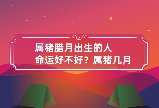 属猪腊月出生的人命运好不好?属猪几月出生命最好?