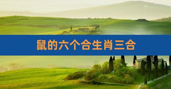 q1:生肖鼠的三合和是什么?中国人在古往今来都是非常讲究属相的.