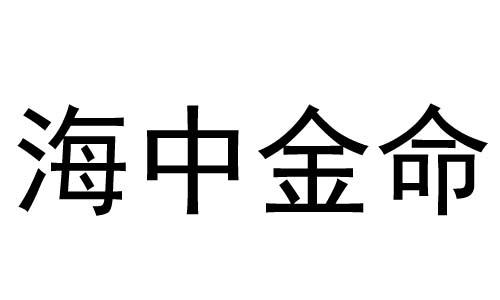 海中金运势(海中金命是什么意思)