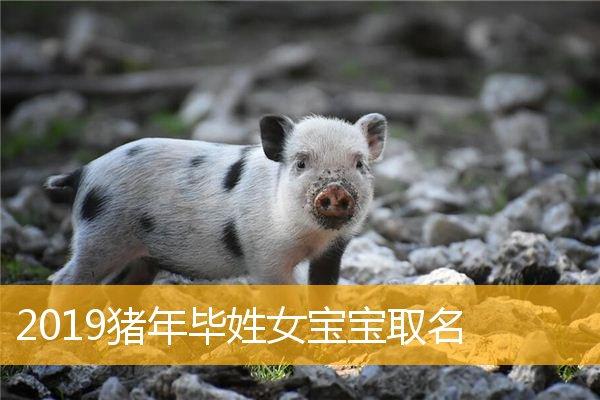 猪年宝宝姓名大全2023 猪年宝宝名字