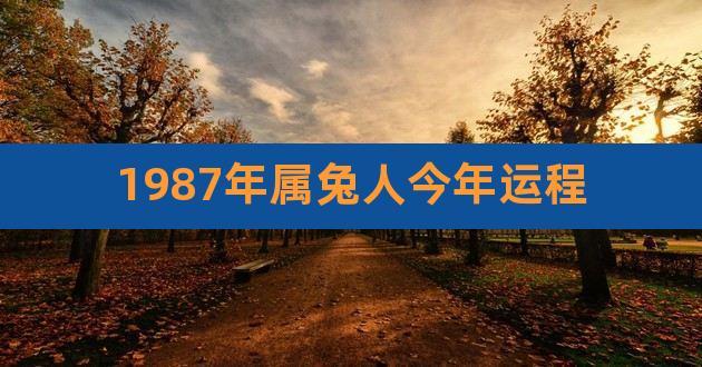 属兔巨蟹座2024年每月运势九五免费算命(2023年属兔8月运势)