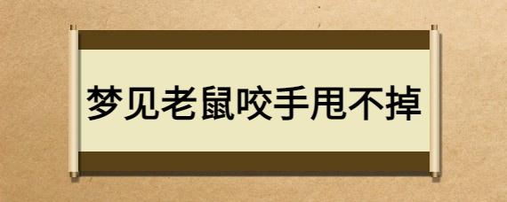 周公解梦梦到老鼠咬手 周公解梦梦到老鼠什么意思