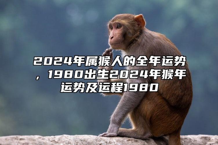 属猴2023年的运势 属猴人2023年运势运程