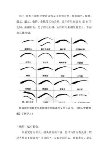 眉毛看相面相眉毛图解看面相眉毛算命图解doc