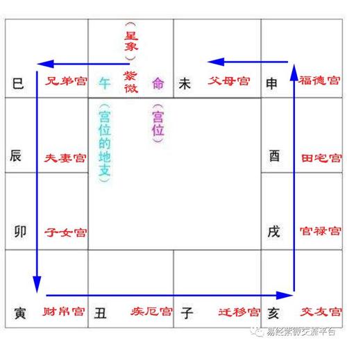 紫微星在父母宫大致意思