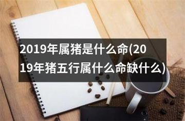 根据五行学说,2023年是土地相生的一年,而属猪的人也是土象星座,因此