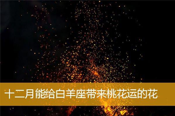 2023白羊座全年运势第一星座2023年白羊座桃花运爆棚(白羊座三月桃花运)