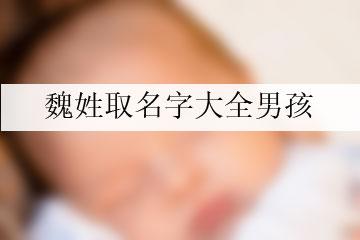 魏姓男孩起名100分(董姓男孩起名100分)