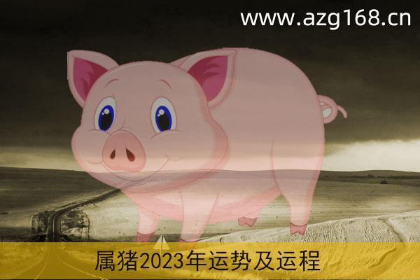 生肖猪运势2023年运程 生肖属猪2023年运势