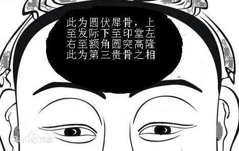 主题:有懂面相的吗,我这算是伏羲骨吗