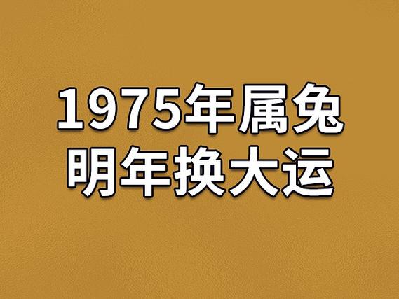 兔年8月运势 属兔2023年8月运势