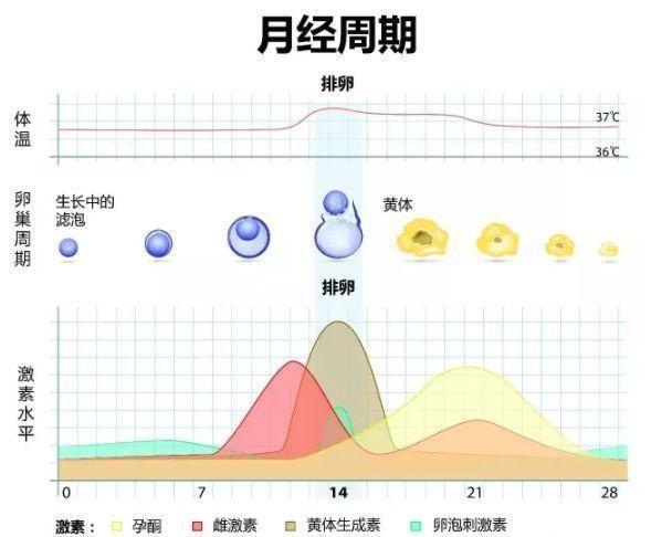 生理期可以算命吗为什么