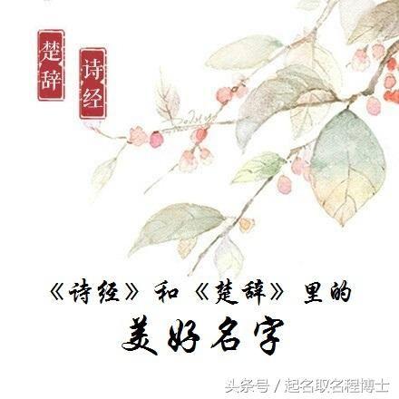 属鼠宝宝诗经楚辞起名 宝宝起名:诗经楚辞中寓意美好的女孩名字