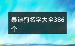 给公泰迪狗起名字大全 泰迪名字大全可爱男狗