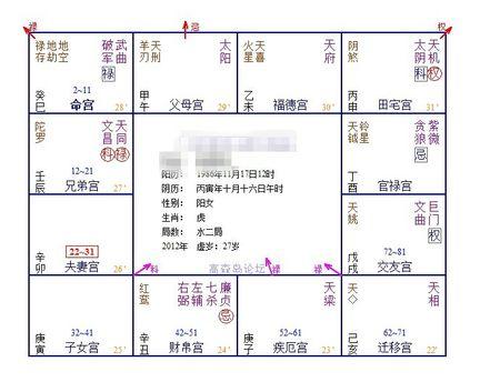 我紫薇命盘命,夫妻宫,子女宫无主星,诚求大师详解