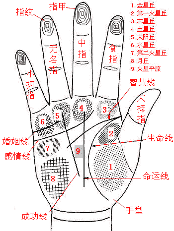 手相图解 手相图解大全男