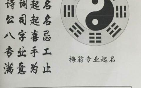 免费婴儿取名按生辰八字,孩子起名字大全2023