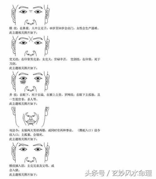 双龙出海面相图解 双龙出海是什么意思