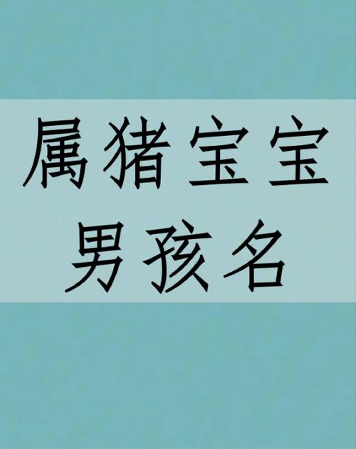 属猪宝宝的男孩名字宝宝起名宝宝取名字