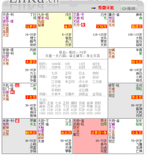 紫微斗数成大事的命格紫微斗数看事业发展第一星座