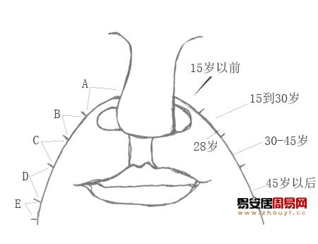 男人法令纹面相算命图解