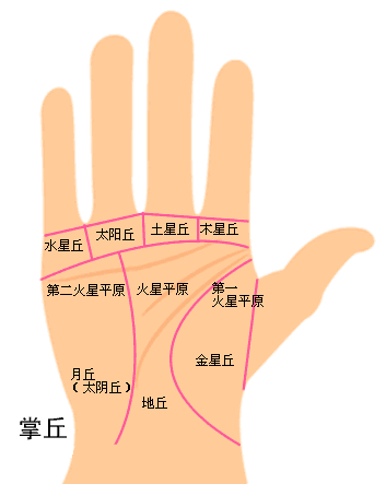 手相离位低 枪支离位报警系统定位阅读主机