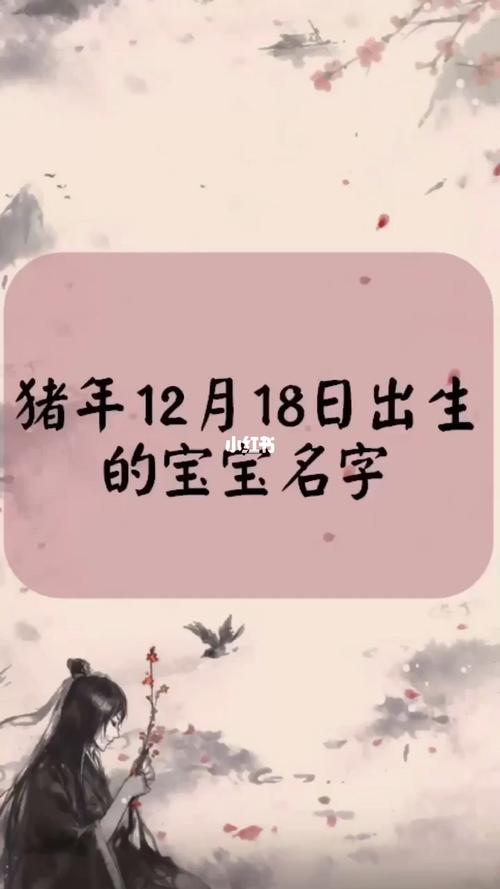 起名取名猪年12月18日出生的宝宝名字