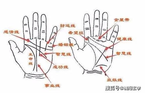 易经手相 | 双手川字掌的女人