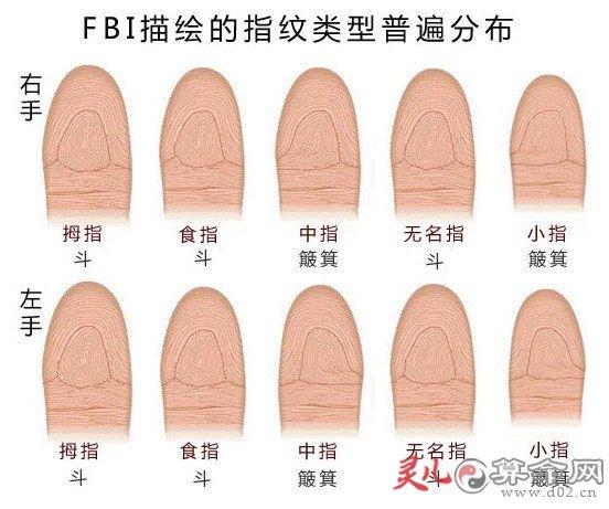 手指指纹簸箕和斗有什么区别 - 乾坤网(原易灵算命网)