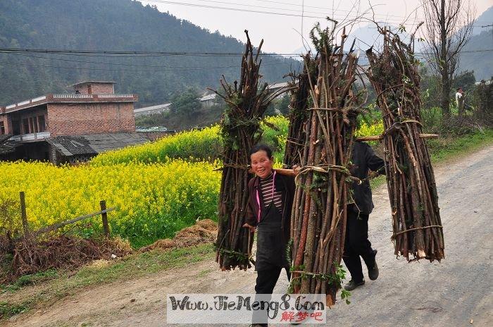 梦见别人砍柴周公解梦(梦见理发是什么意思周公解梦)