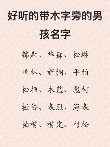 木字旁的字男孩起名字 虎年宝宝取名最佳用字