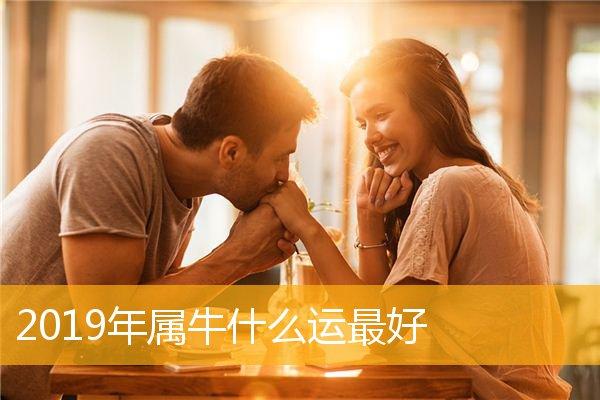 首页 十二生肖 属牛2023年对于属牛的人来说,整体运势不太理想.